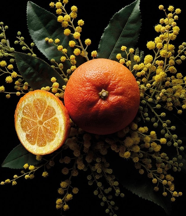 Bamboo Harmony The Fresh, 50 ml refill