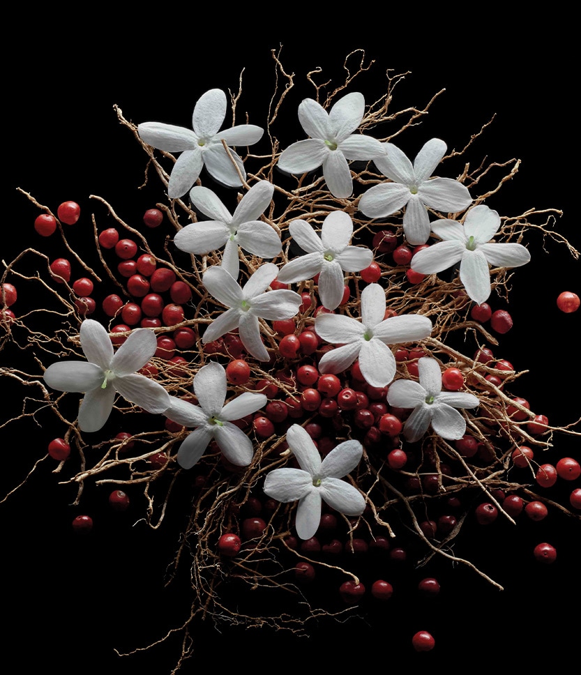 Dark Lord - "Ex Tenebris Lux" The Smokes, 50 ml refill