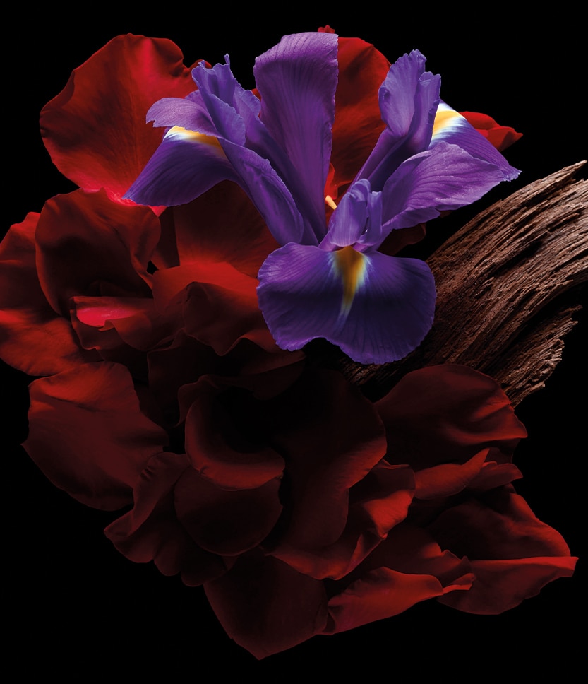 Pearl Oud, Doha Boutique Exclusive, 100 ml