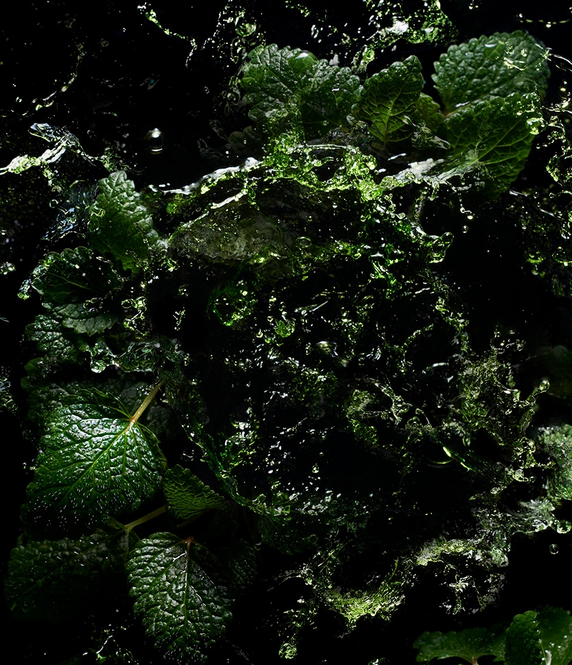 Fièvre Verte by Kilian The Liquors, 100 ml